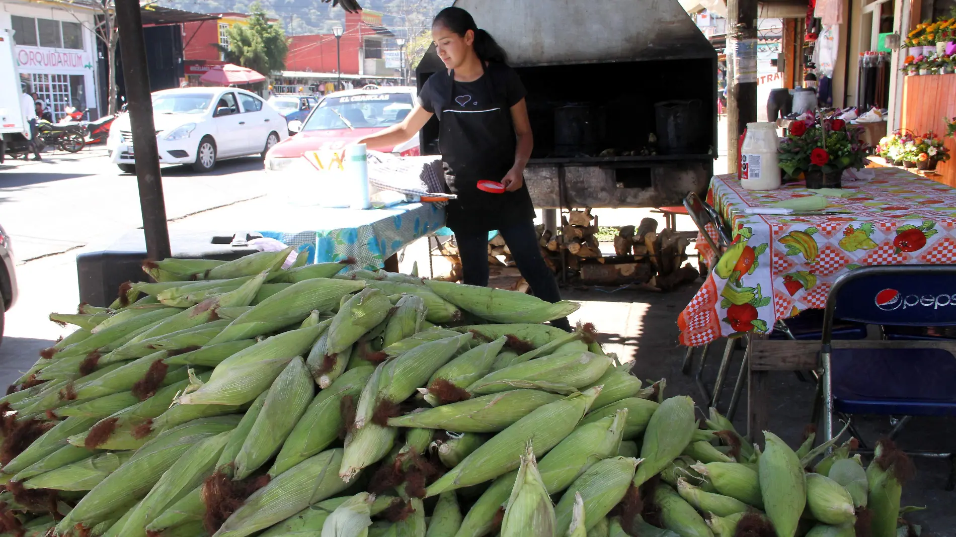 JE170220233199Venta de Elotes